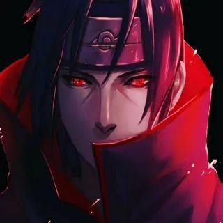 bbzhan19 avatar