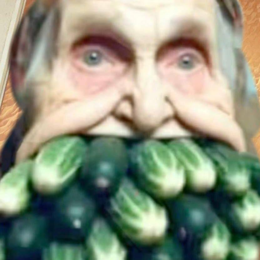 suetologg666 avatar