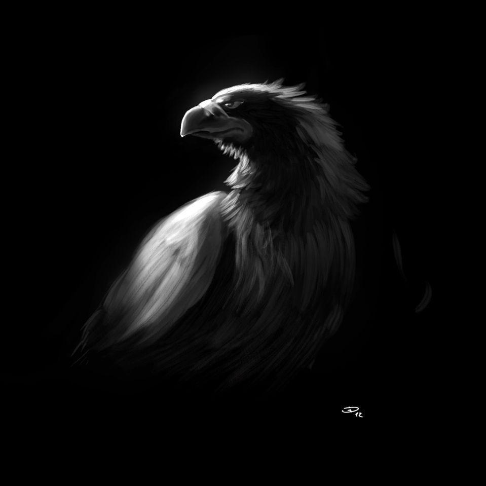 x_SkyFall_x avatar