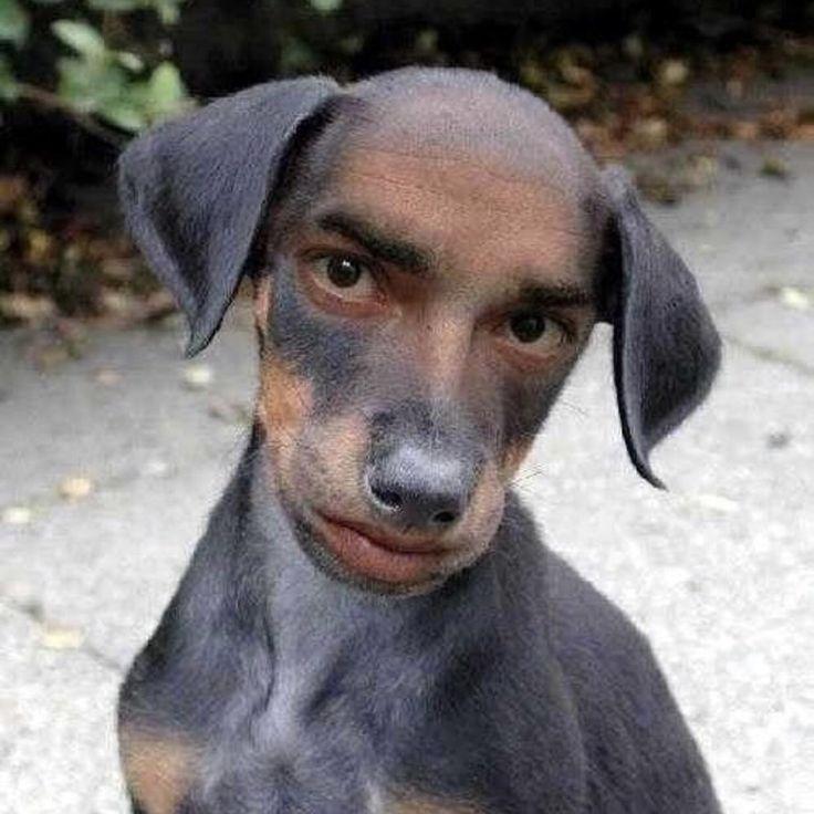 alS0 avatar