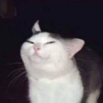 askami3 avatar