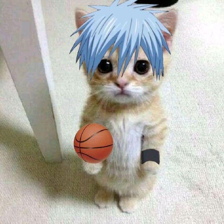 yokkkkkai avatar