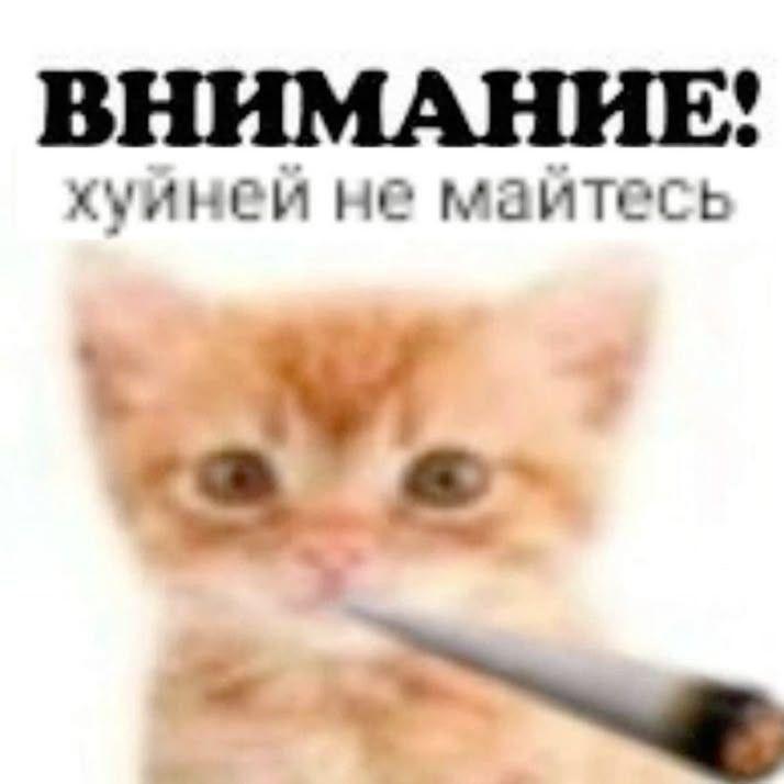 Stol_bik avatar