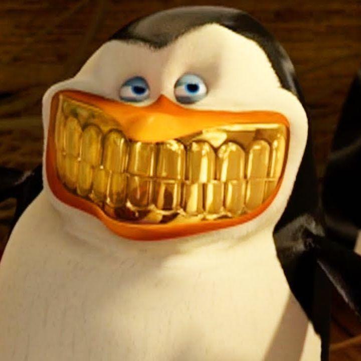 SkippER_11 avatar
