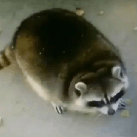 turskaterska