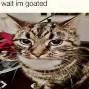 xaxaaxaxa67