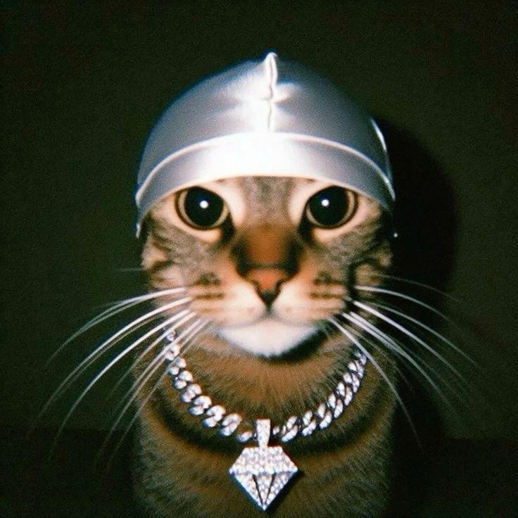 sqwwwwwwwwww avatar