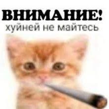 -t1xzy666 avatar