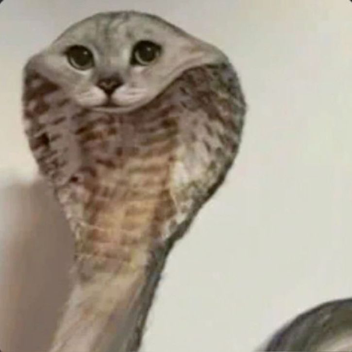 wyd avatar