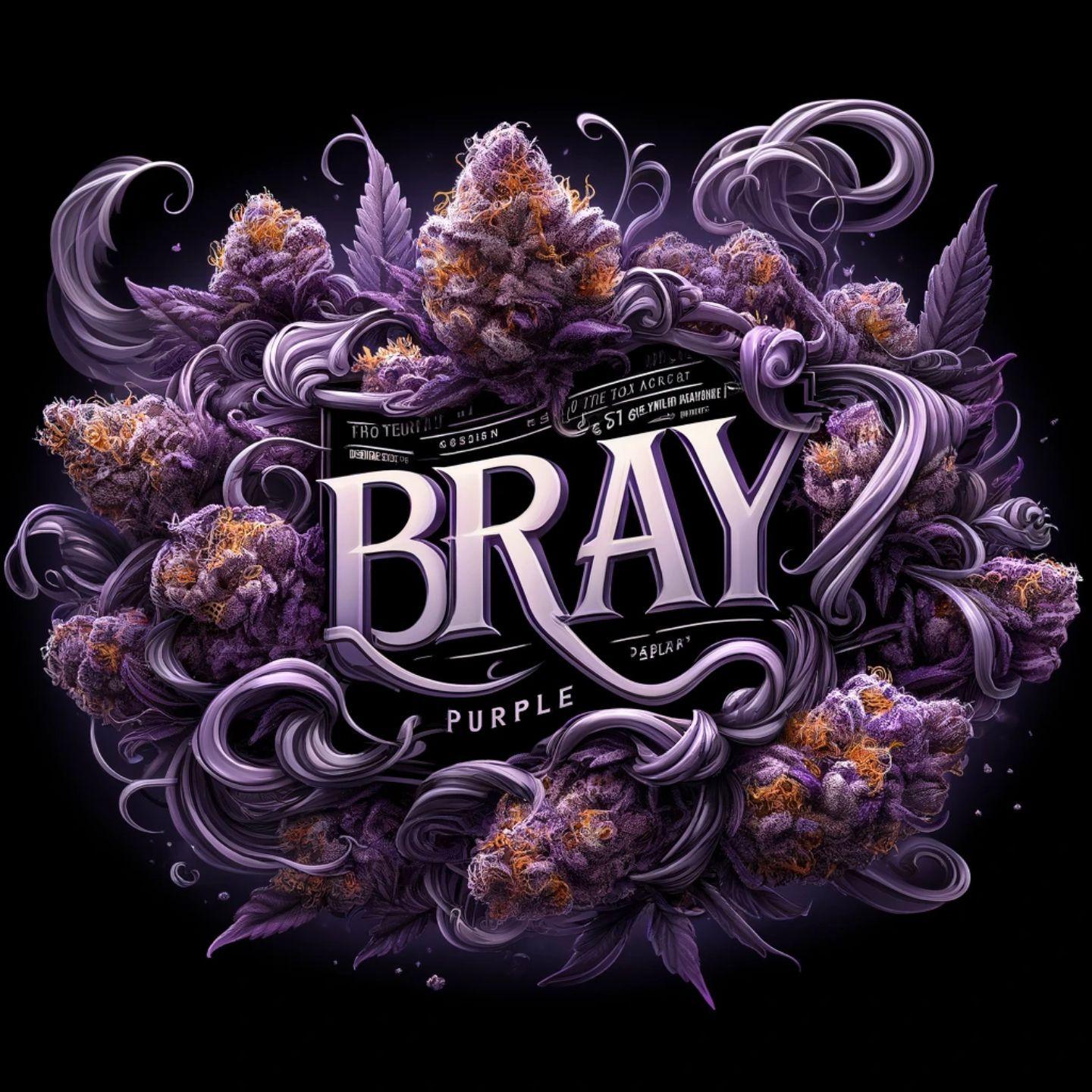 brayPURPLE avatar