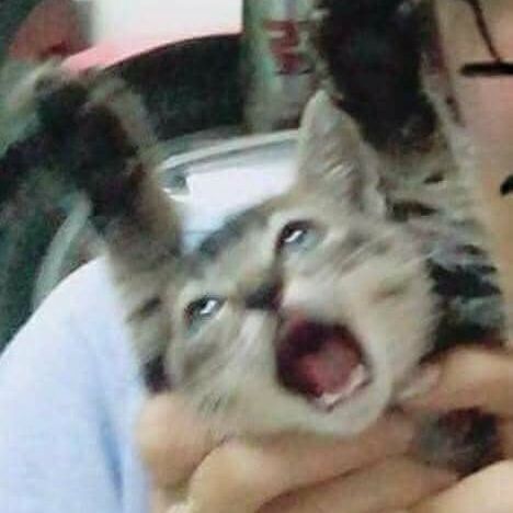 Mik0z69