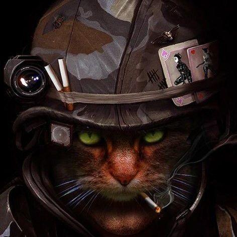 hlscrew avatar