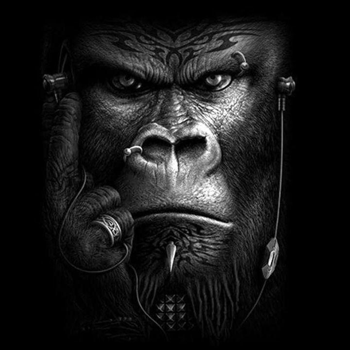 Garlik421 avatar