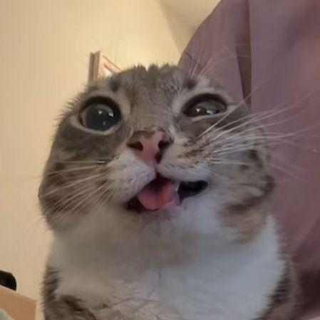 endzelinz avatar