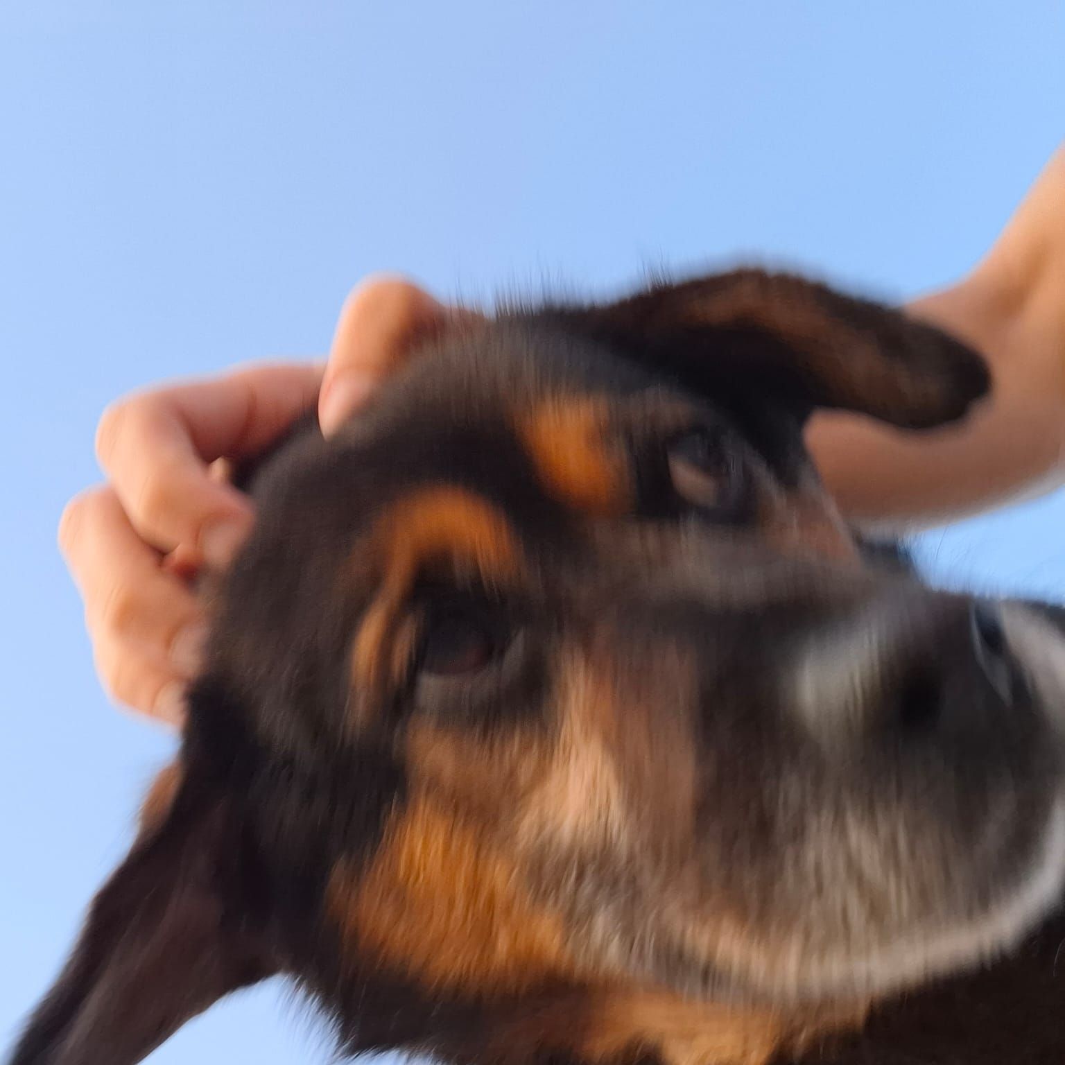hoboc0p