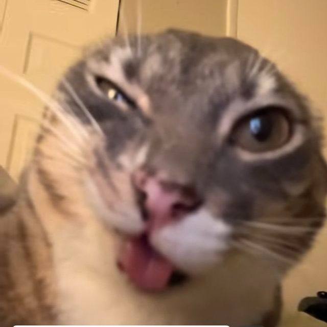 -npwlz-