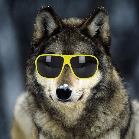 voyadron avatar