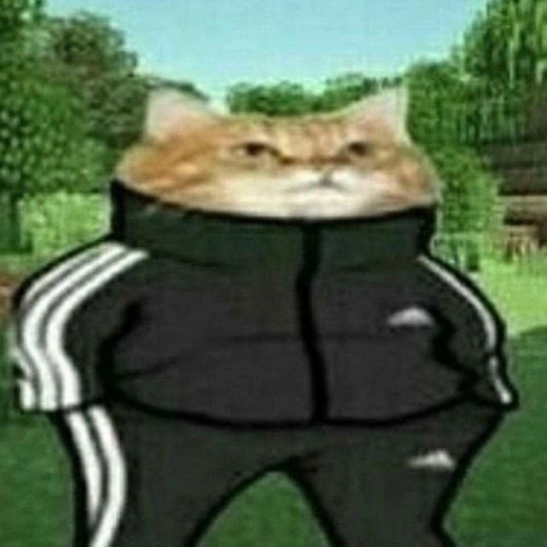 1San4ezz13 avatar