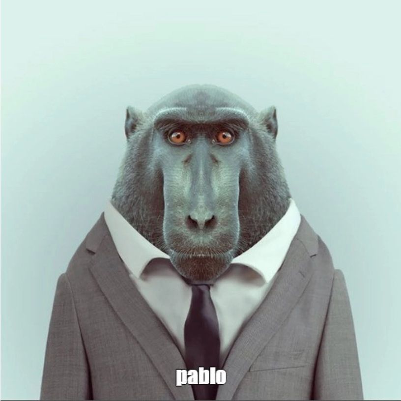 DAXCYH_OPT19 avatar