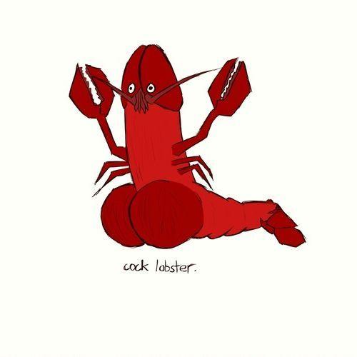 cck_lobster avatar