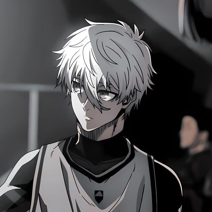 secki_k avatar
