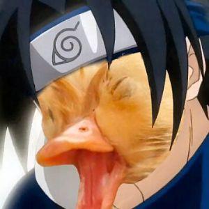 Mrazotata avatar