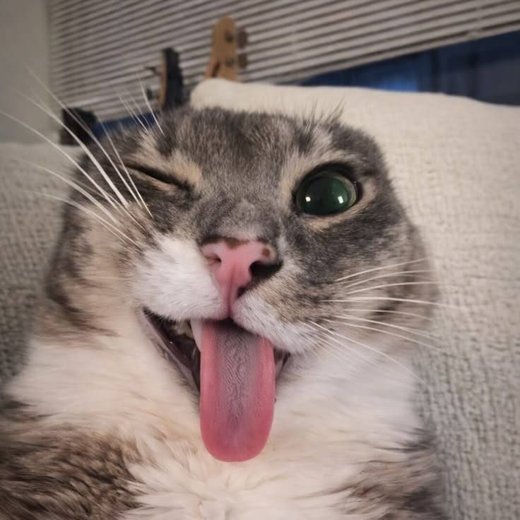whyugly