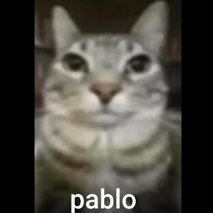 team_PabloElSaro