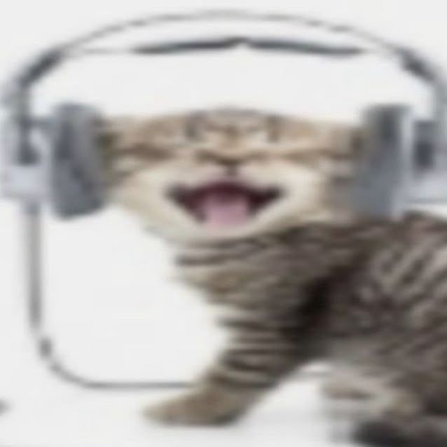w1zp3R