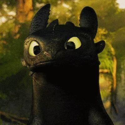 Kaktusiak2 avatar