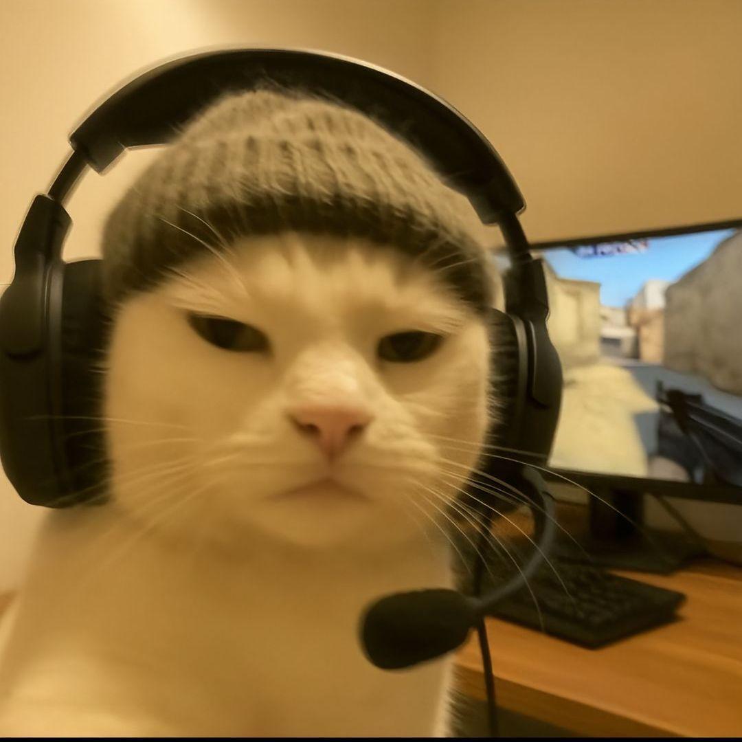 Sobakapeek avatar