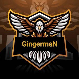 Player gingerman221 avatar