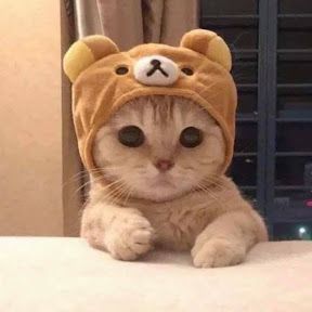 cik
