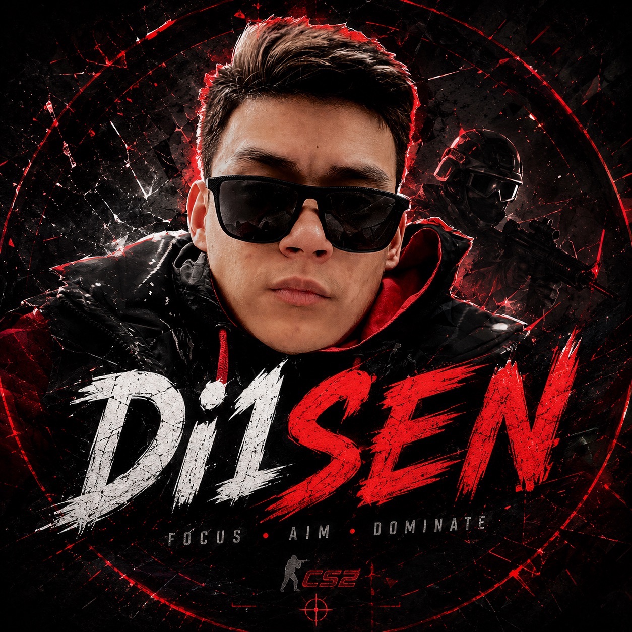 Di1SeN