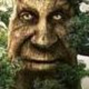 BogdanMEGA