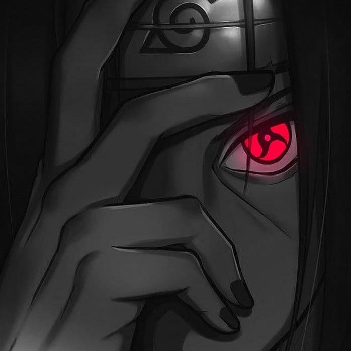 saodre21k avatar