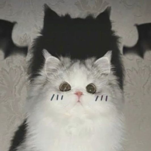 teeenage avatar