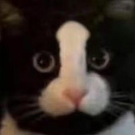 Seraphimnoob avatar