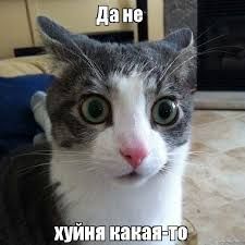 BRUNCHIK_ove