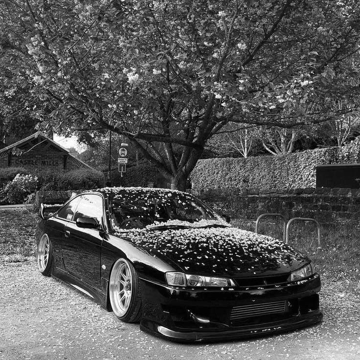 eldoree