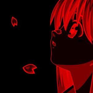 ShelteP avatar