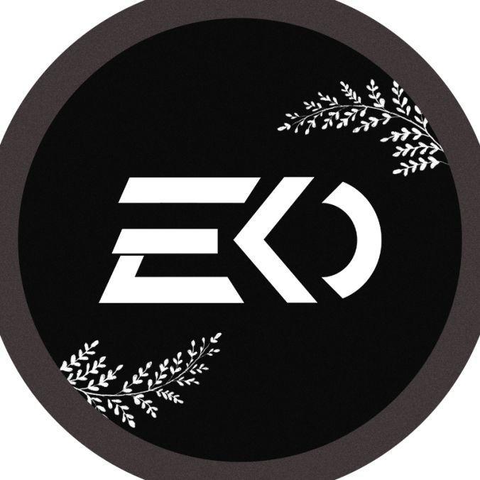 Player -EK0 avatar
