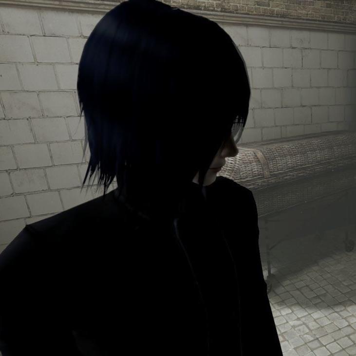 sh1nkara avatar