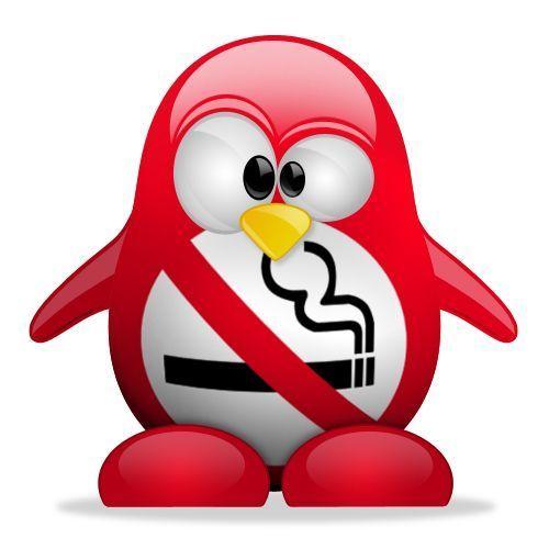 arehast1k avatar