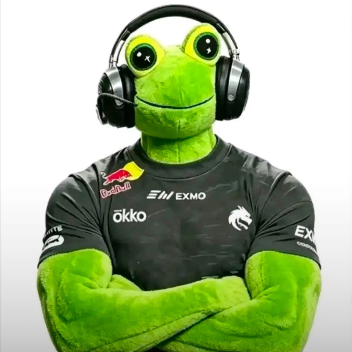 Zigywoo FACEIT avatar