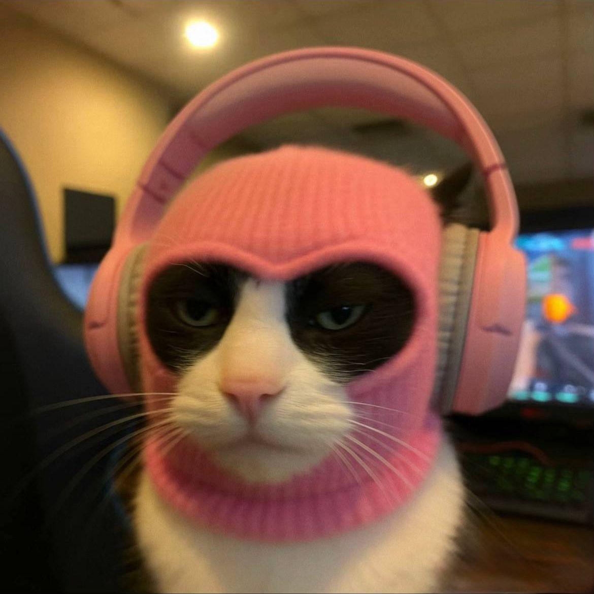 qunikks avatar