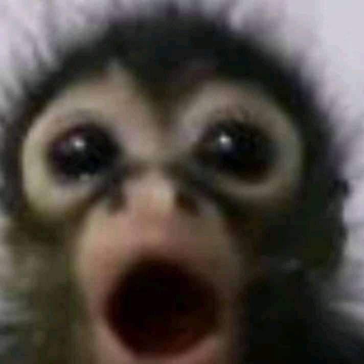 mordva_d2 avatar
