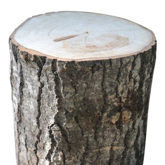 BIGSTUMP
