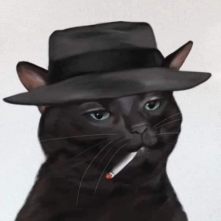 Gatitoxdxd avatar