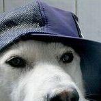 urarthoe avatar